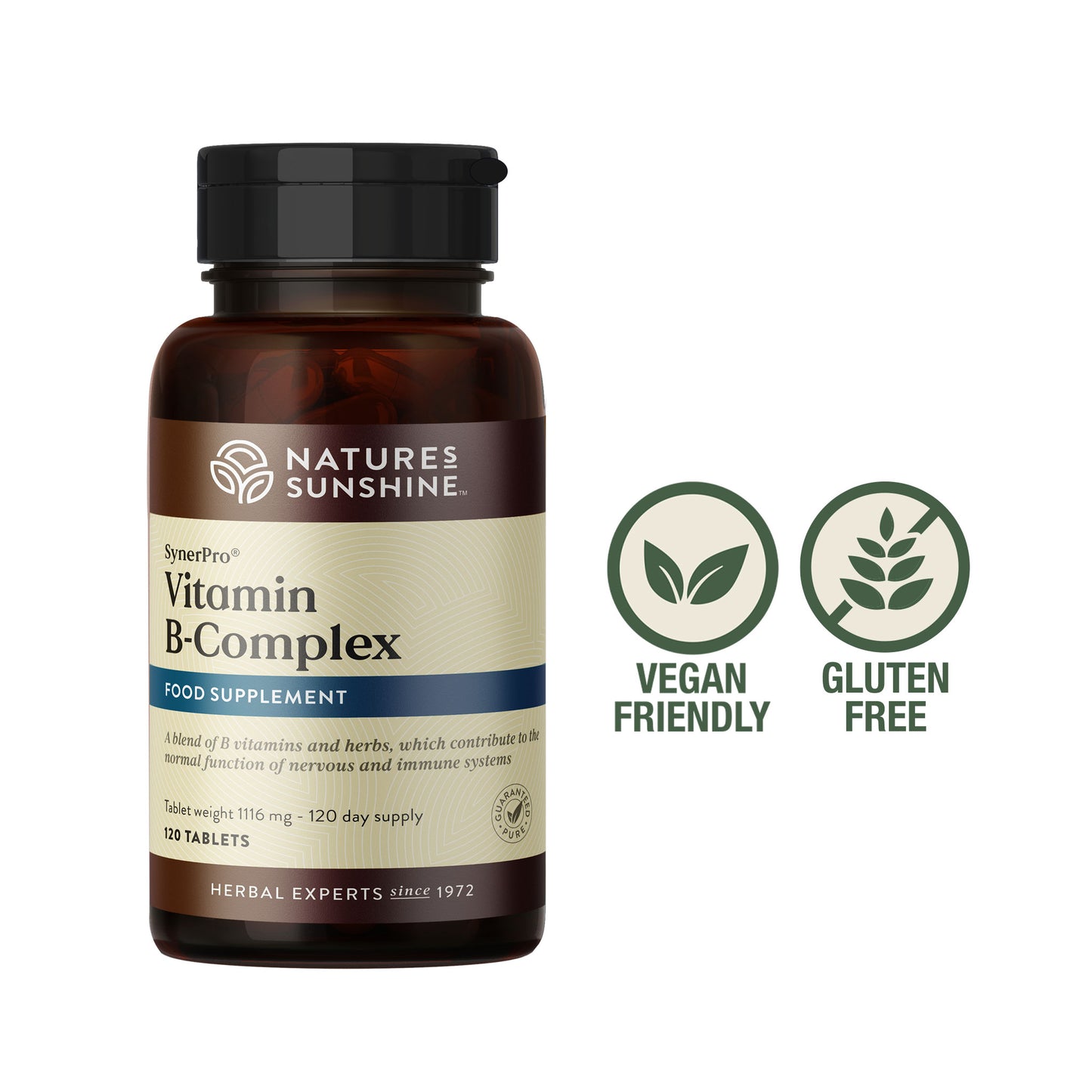 Bottle of Nature's Sunshine Vitamin B Complex - 4 month supply