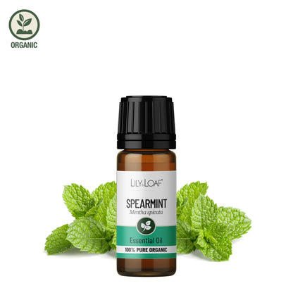Spearmint essential oil bottle with mint leaves on a white background