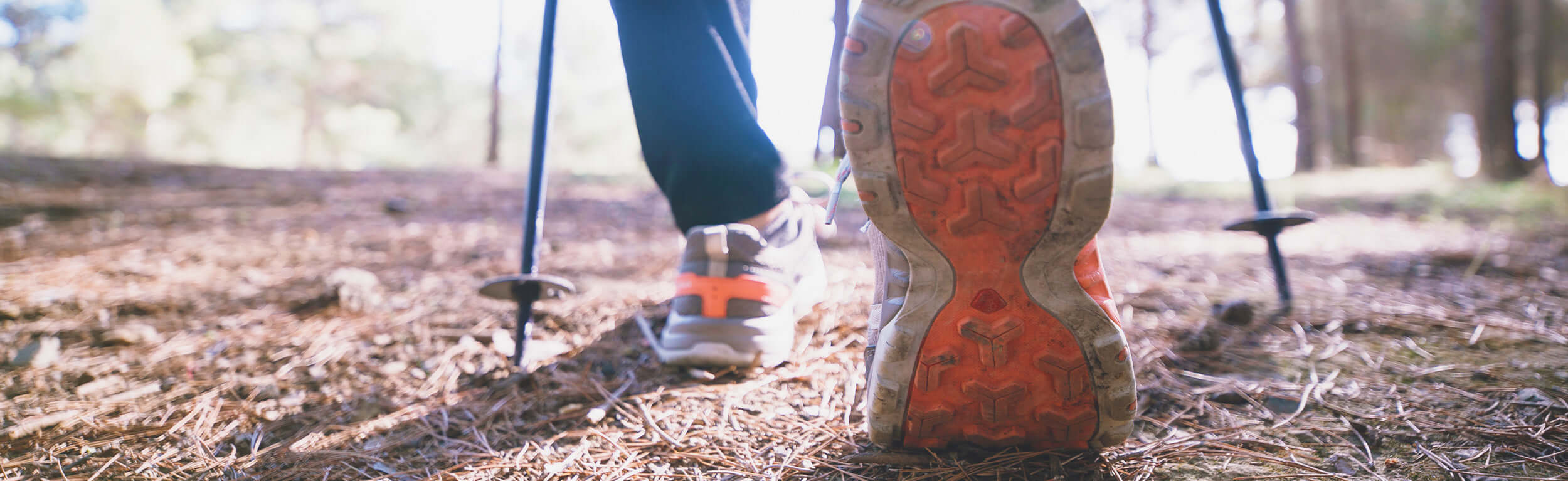 A close up of a walking shoe of someone on a hike in the woods