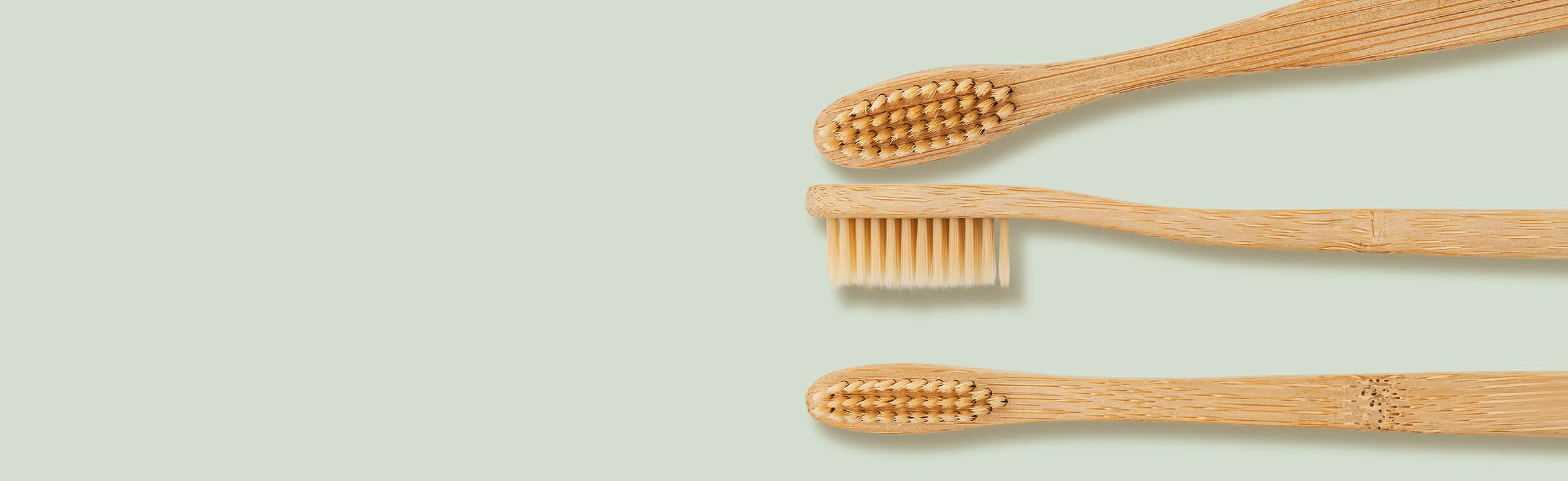 organi bamboo toothbrushes