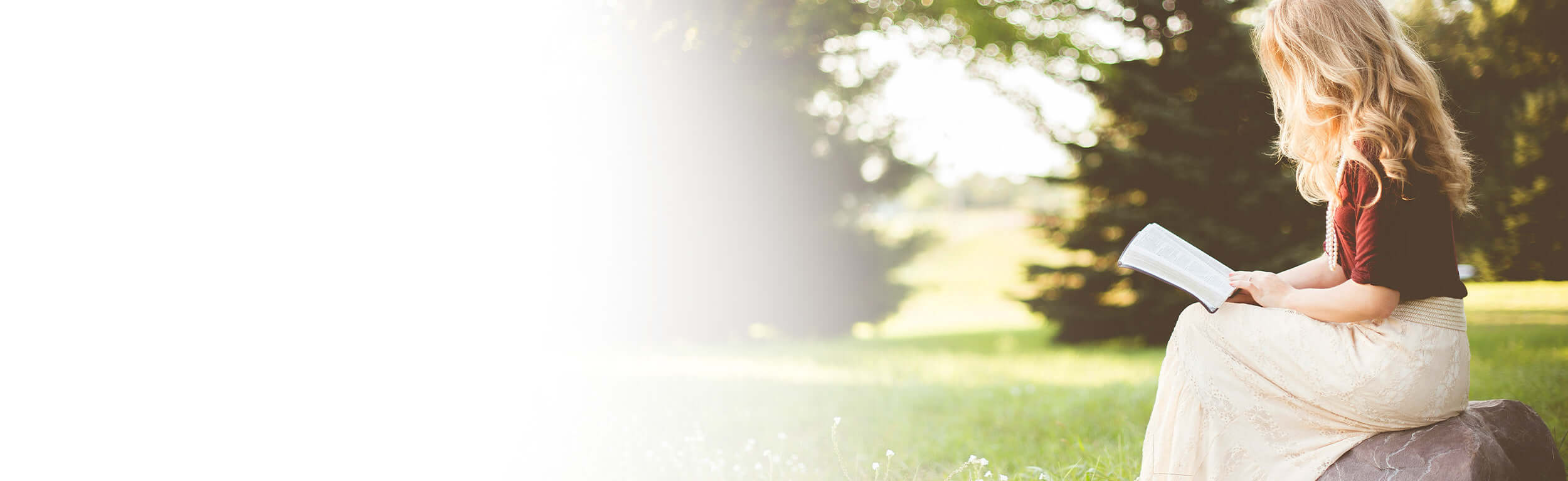 Lady reading in the sunshine sitting in a field