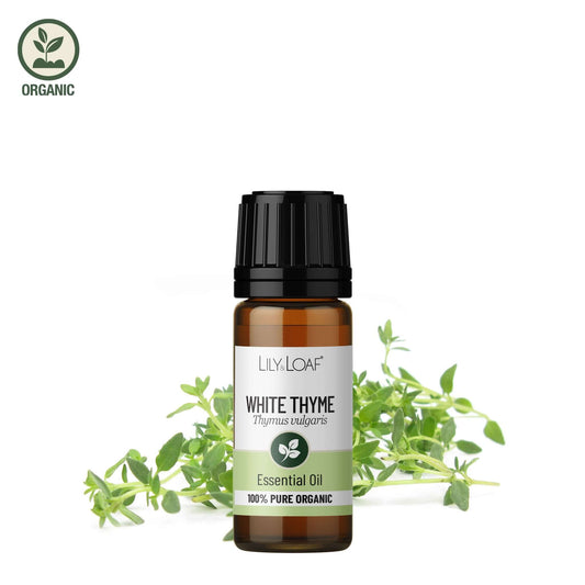 Bottle of Lily & Loaf White Thyme essential oil with a white background