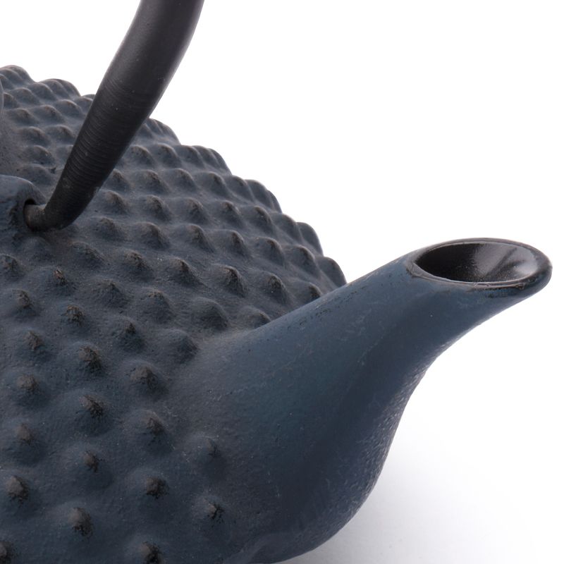 Xilin Cast Iron Teapot