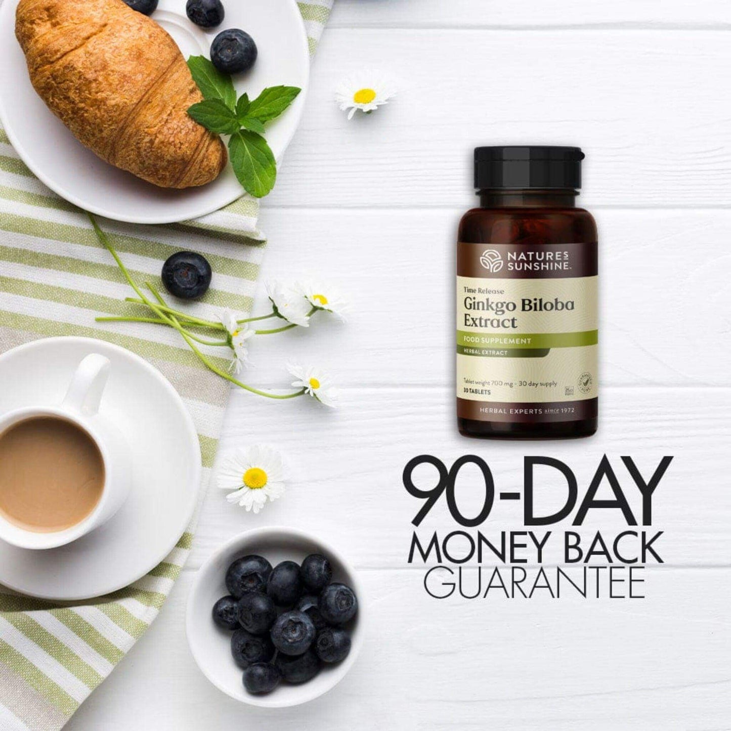 Ginkgo Biloba Extract 90 day money back guarantee