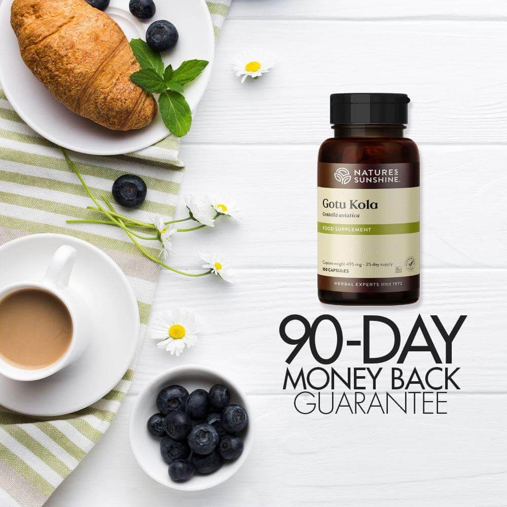 Gotu Kola 90 day money back guarantee