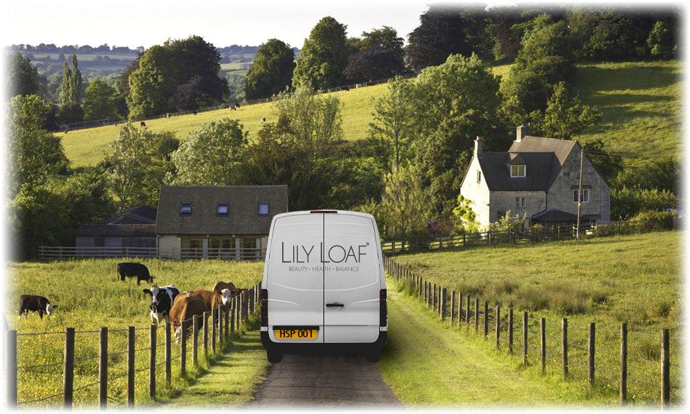 A white van with the Lily & Loaf logo driving down a country lane with a field of cows on the left and a cottage on the right