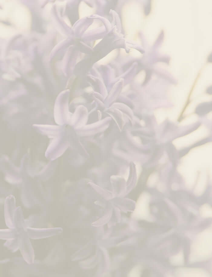 Patchouli flowers