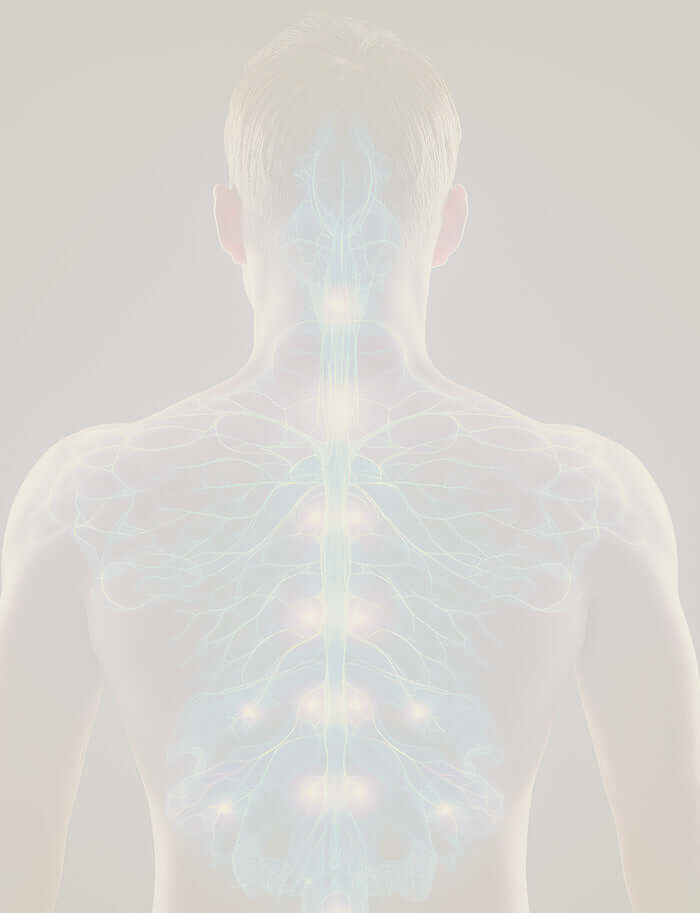 Translucent figure with energy lines up a persons spine on a light background