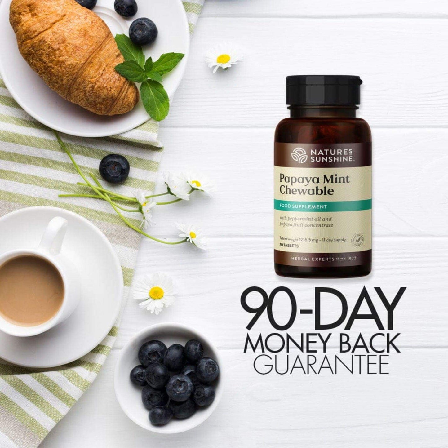 Papaya Mint 90-day money back guarantee