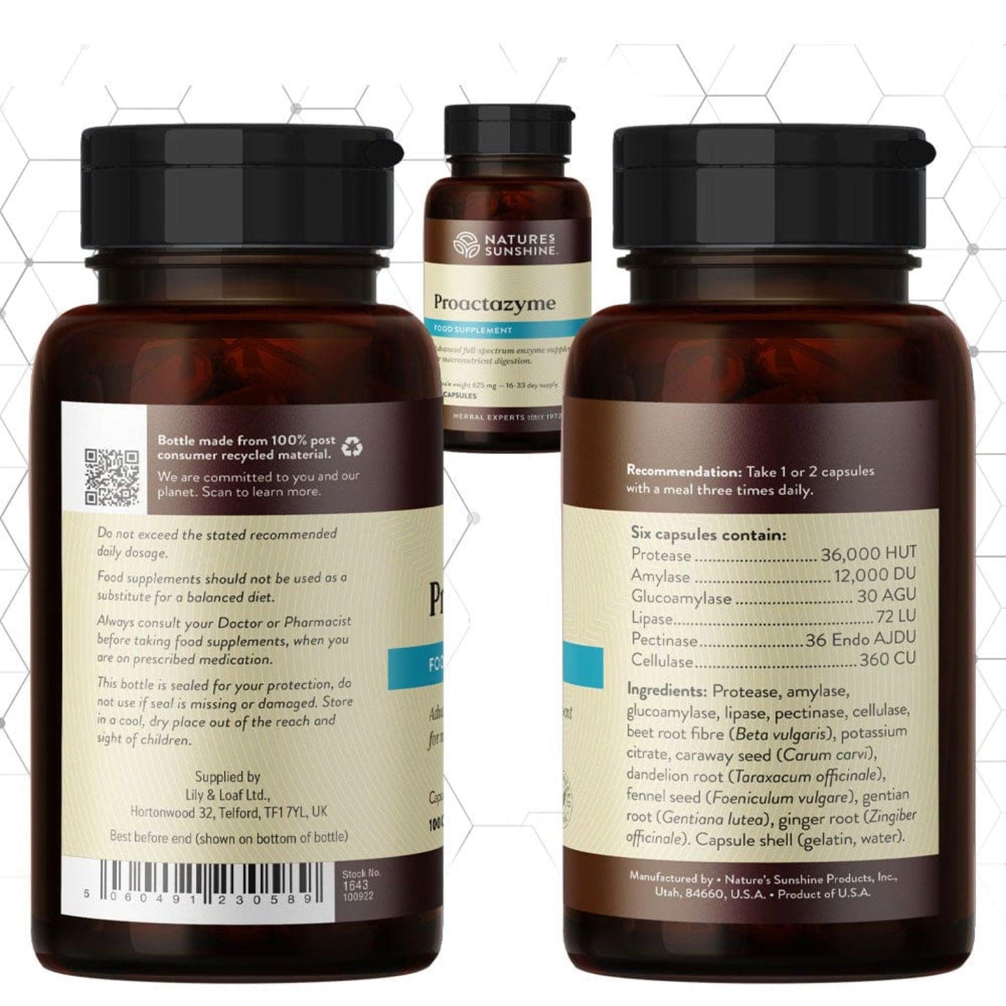Dark amber bottle of Nature's Sunshine Proactazyme supplement, containing 100 capsules for a 16-33 day supply, supporting macronutrient digestion.