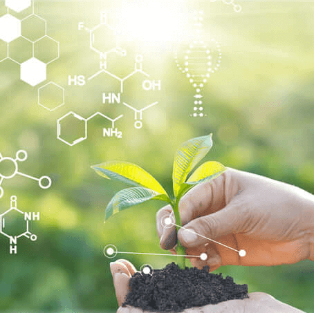 A person holding a plant in soil on their hand