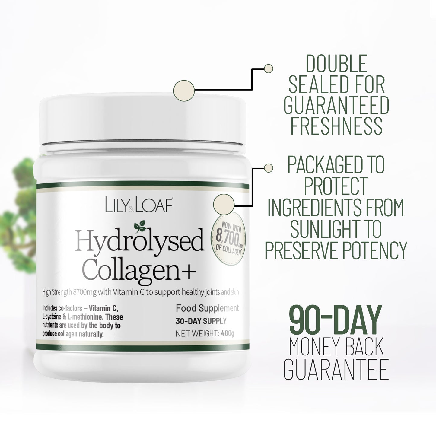 Lily & Loaf Hydrolysed Collagen+ tub showing double-sealed packaging, sunlight-protective design and 90-day money-back guarantee.
