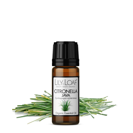 Citronella Organic Essential Oil with ingredients in the background