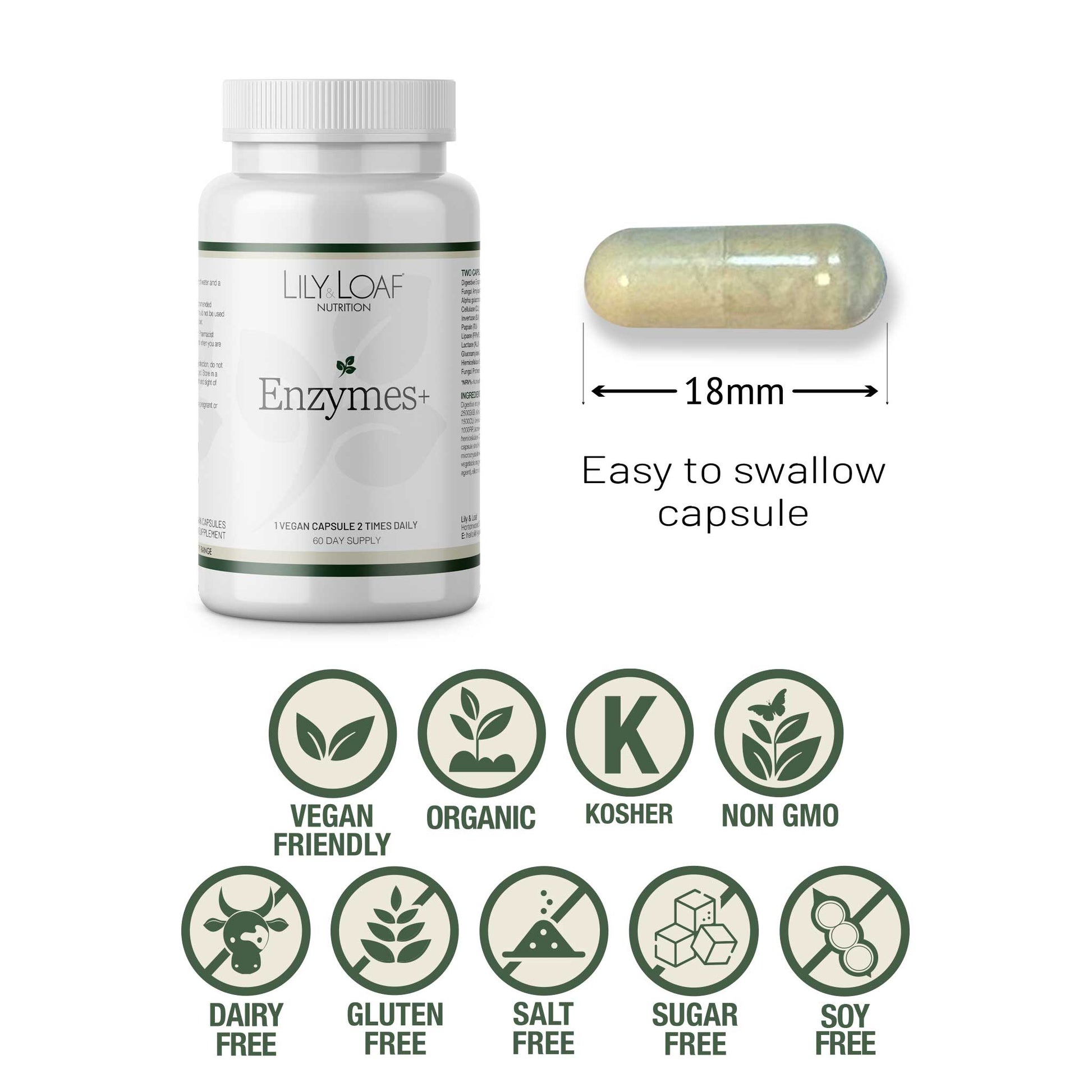 Enzymes Plus | Daily Enzyme Blend | Lily & Loaf Enzymes Plus | Daily Enzyme Blend | Lily & Loaf