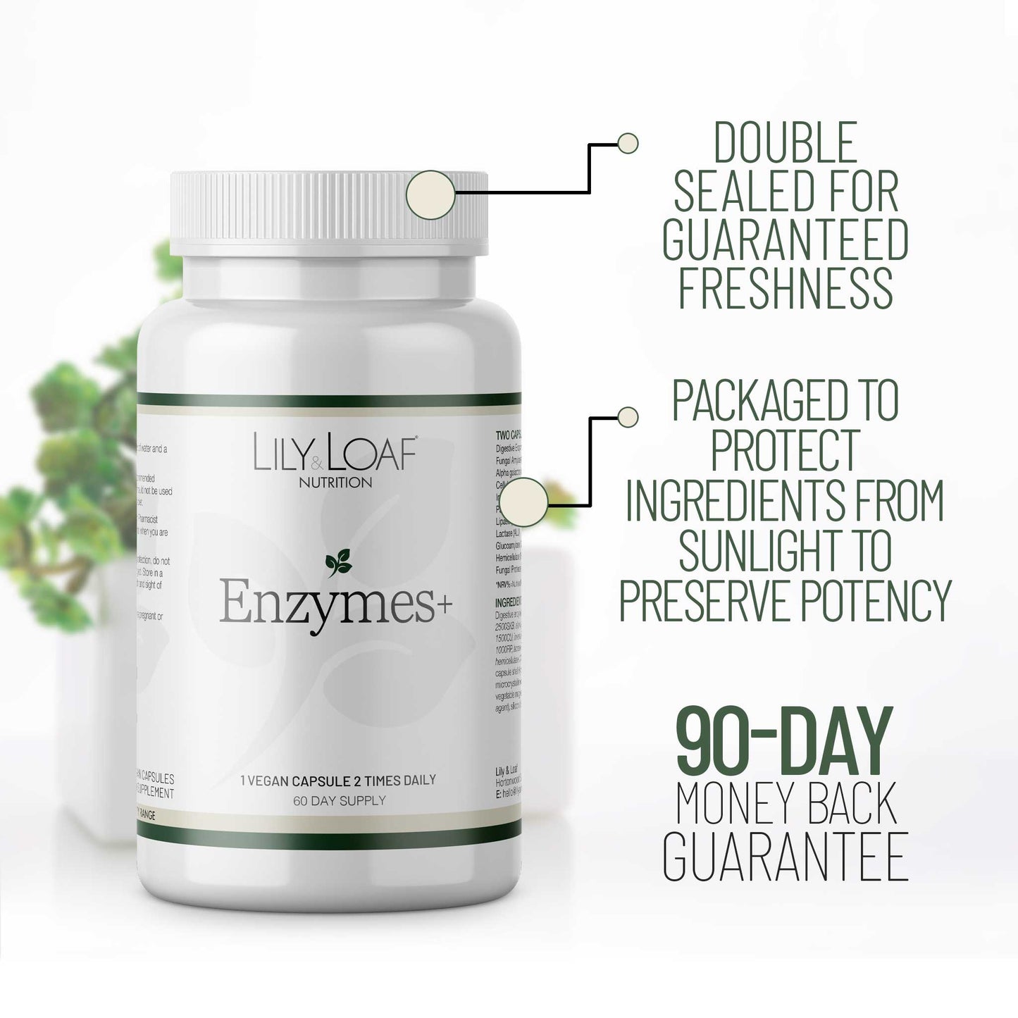 Lily & Loaf Enzymes+ supplement bottle showing double-sealed packaging, light-protective container and 90-day money-back guarantee.