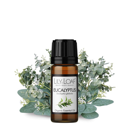 Eucalyptus Organic Essential Oil and ingredients