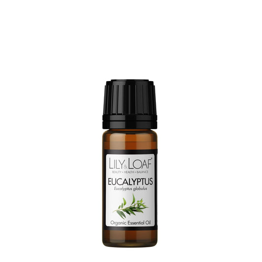 Lily & Loaf Organic Eucalyptus Essential Oil bottle, featuring Eucalyptus globulus for its refreshing and invigorating properties.