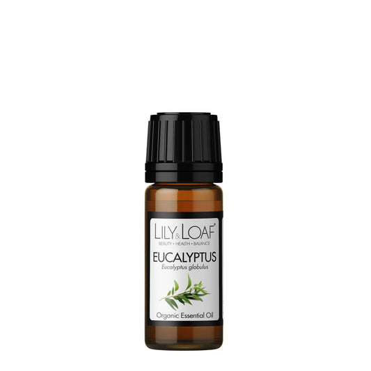 Eucalyptus Organic Essential Oil front