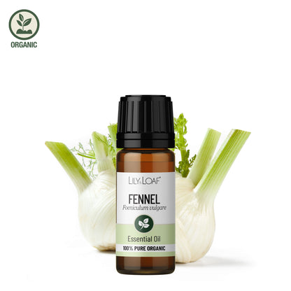 Lily & Loaf organic fennel essential oil bottle shown with fresh fennel bulbs and green stalks on a white background.