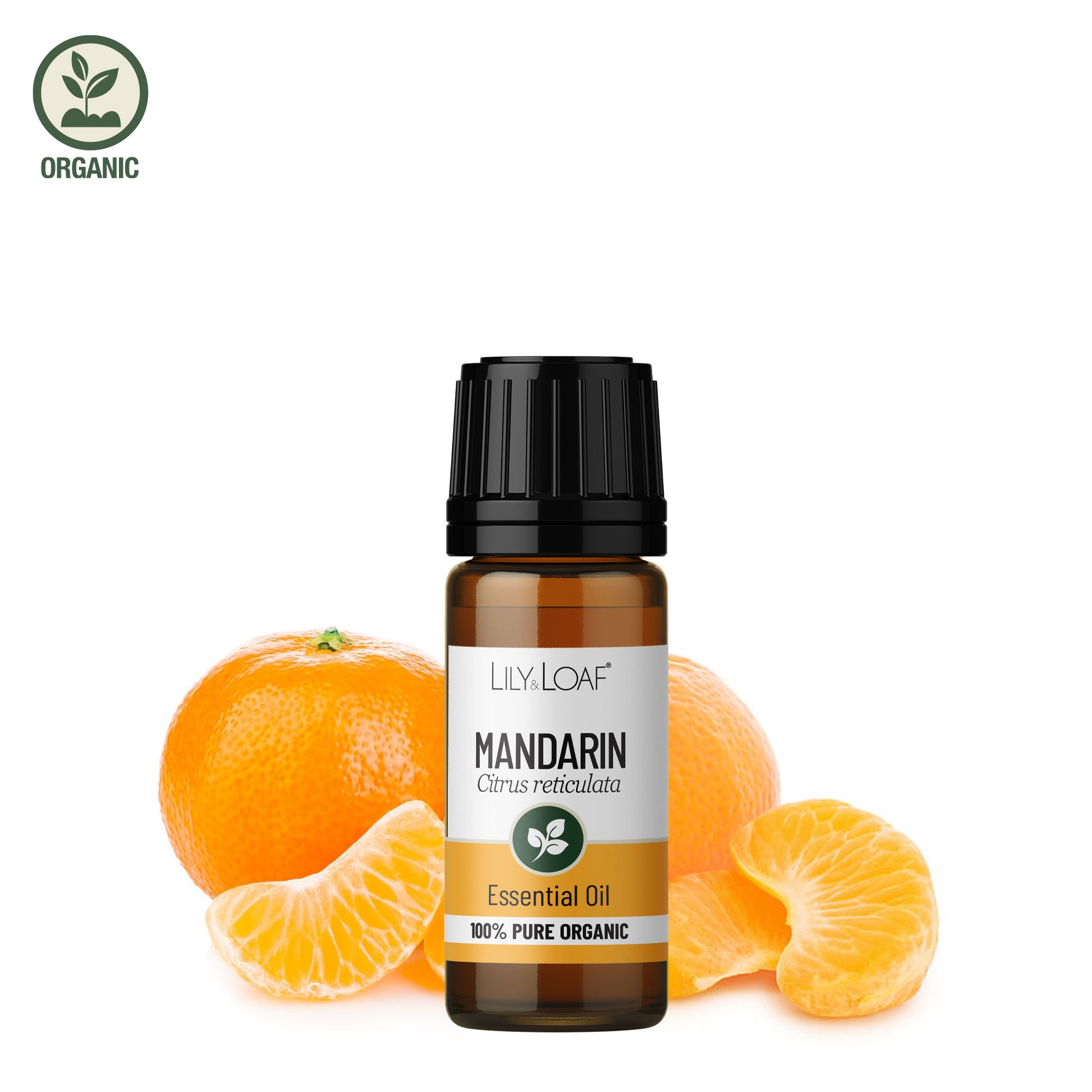Lily & Loaf Mandarin essential oil bottle with fresh whole mandarin and mandarin segments, 100% pure organic essential oil on white background.