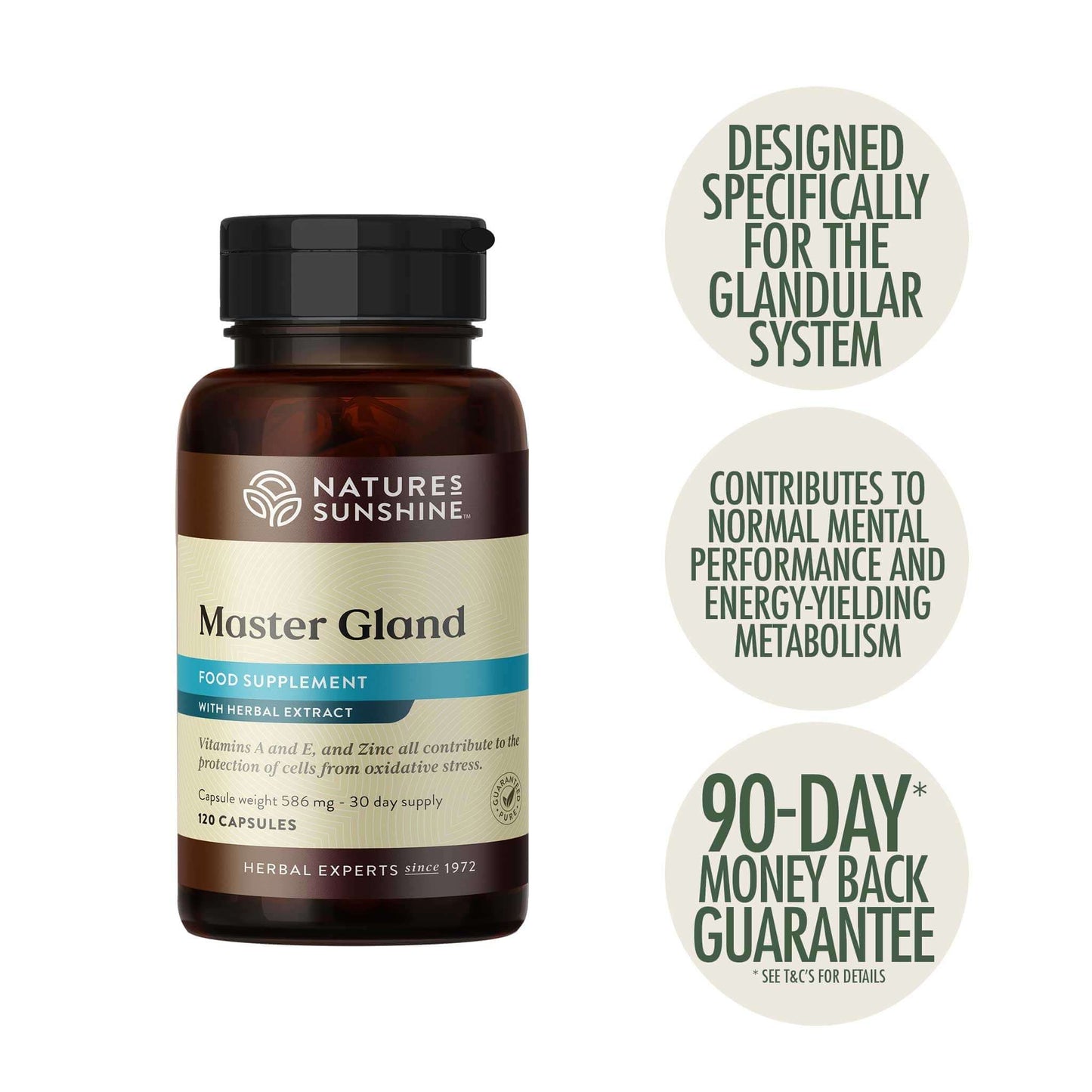 Master Gland facts and benefits