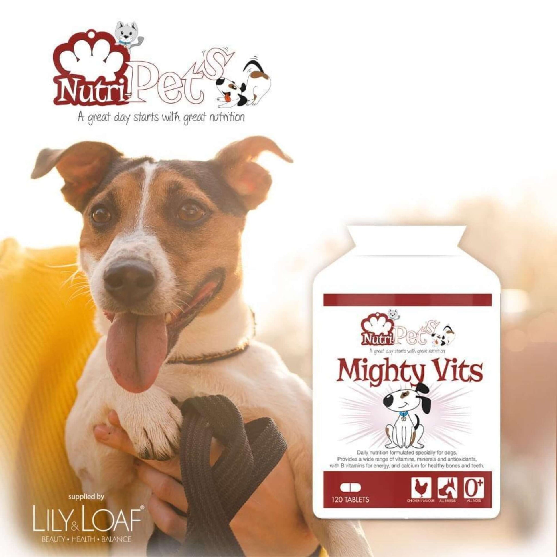 A terrier dog on a lead with a bottle of Nutri-Pets Mighty Vits in the foreground