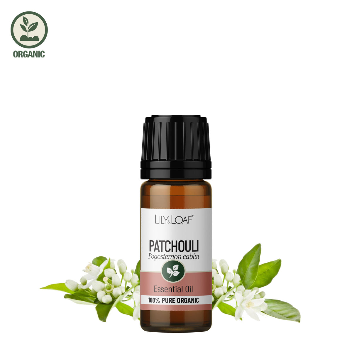 Patchouli Organic Essential Oil