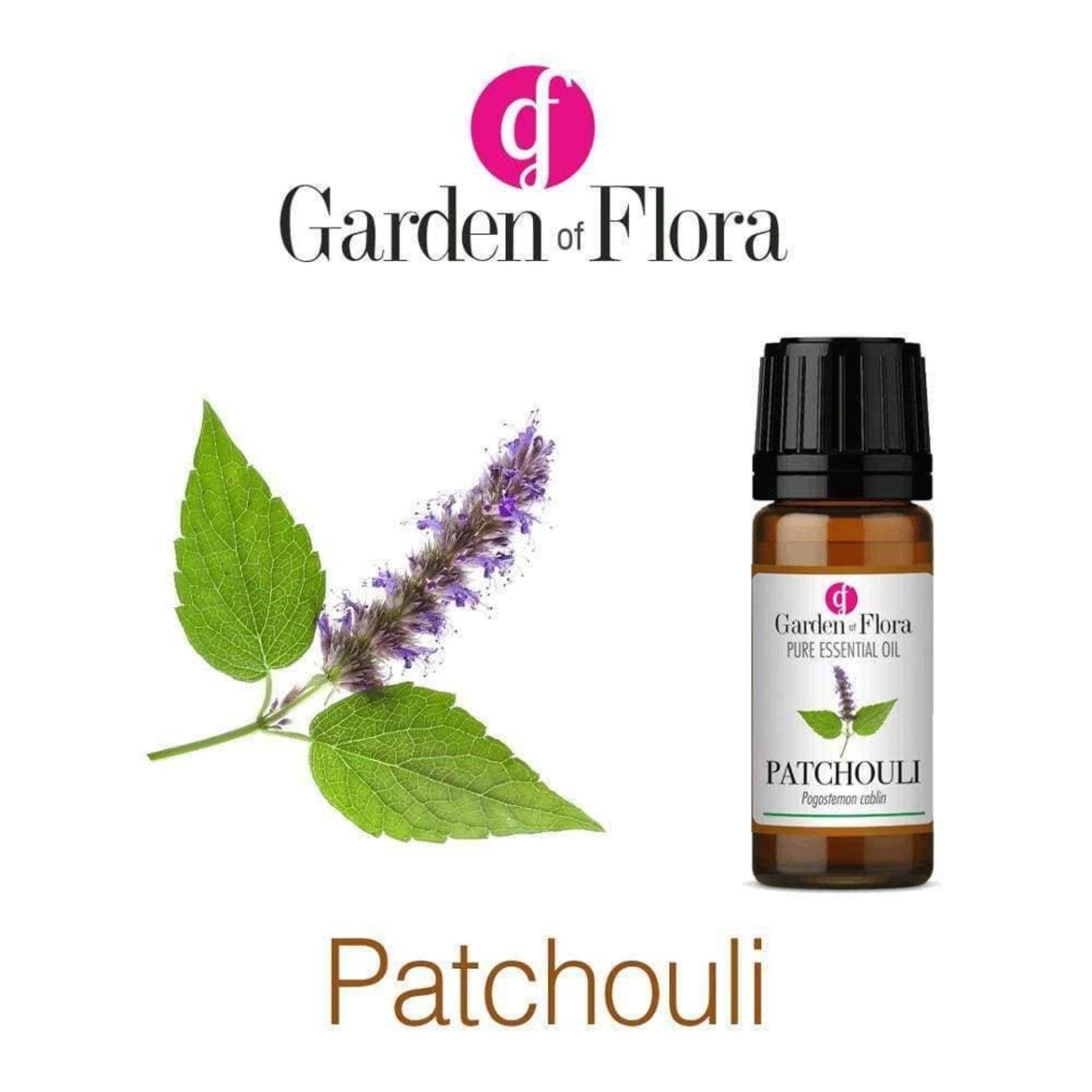 A patchouli flower next to a bottle ofPatchouli 10ml Essential Oil
