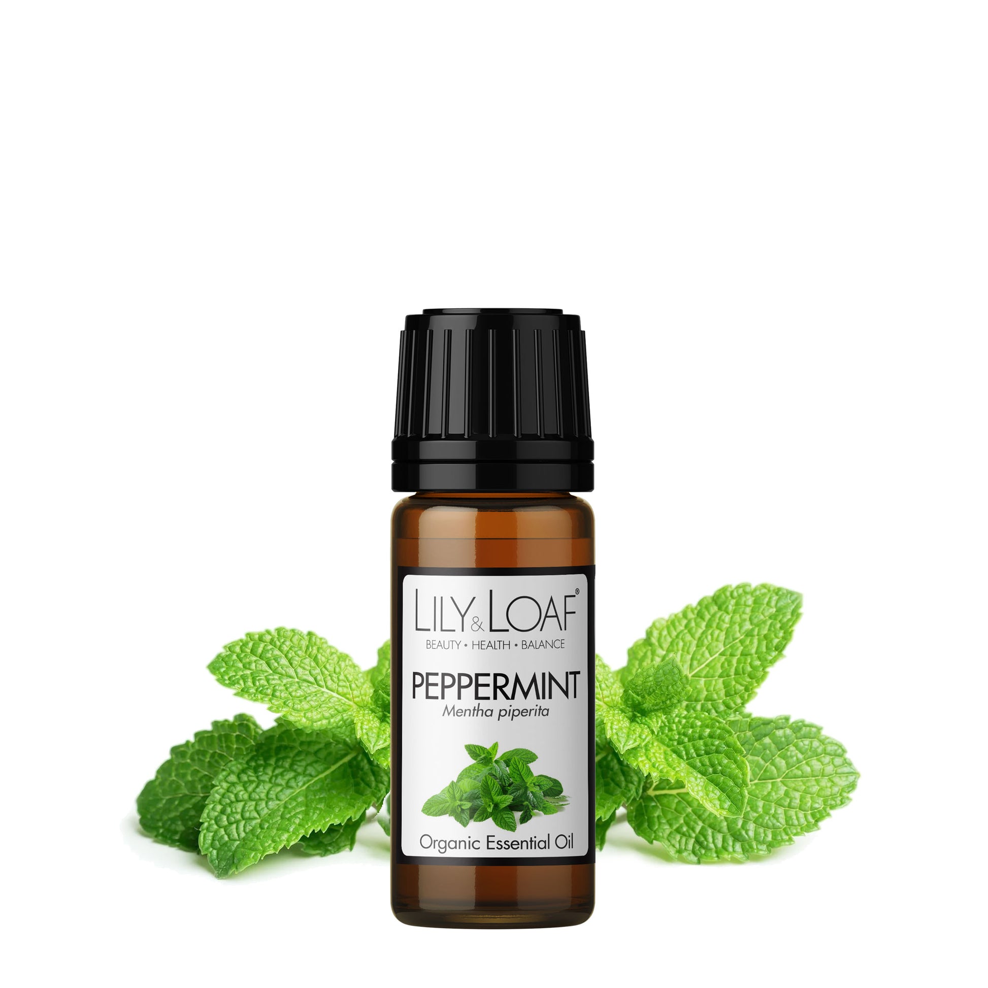 Lily and Loaf - Peppermint Organic Essential Oil (10ml) - Essential Oil