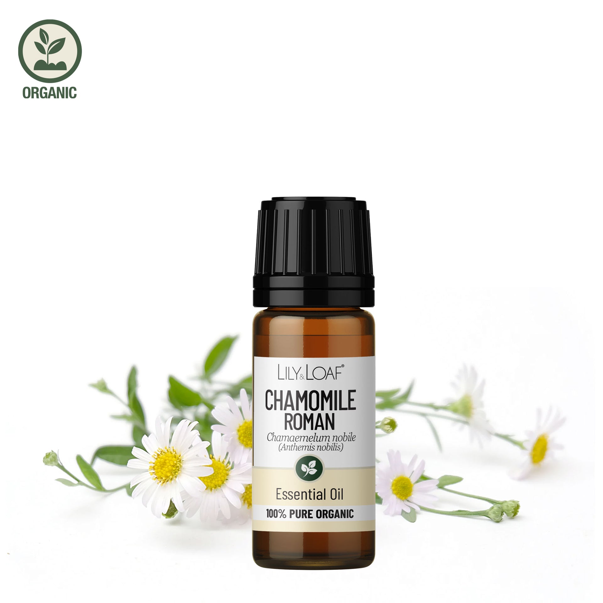 Chamomile Organic Essential Oil