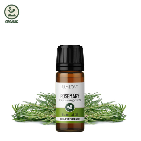 Lily & Loaf Organic Rosemary Essential Oil in amber glass bottle with fresh rosemary on a white background.