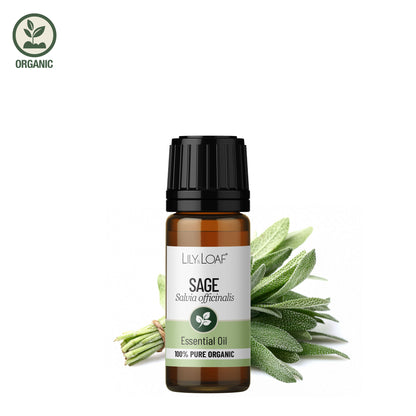 Lily & Loaf organic Sage essential oil bottle with fresh sage leaves on a white background.
