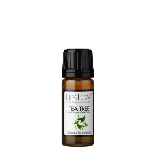 Lily & Loaf Tea Tree Organic Essential Oil in a 10ml amber glass bottle with black cap. Used for its antibacterial and cleansing properties.