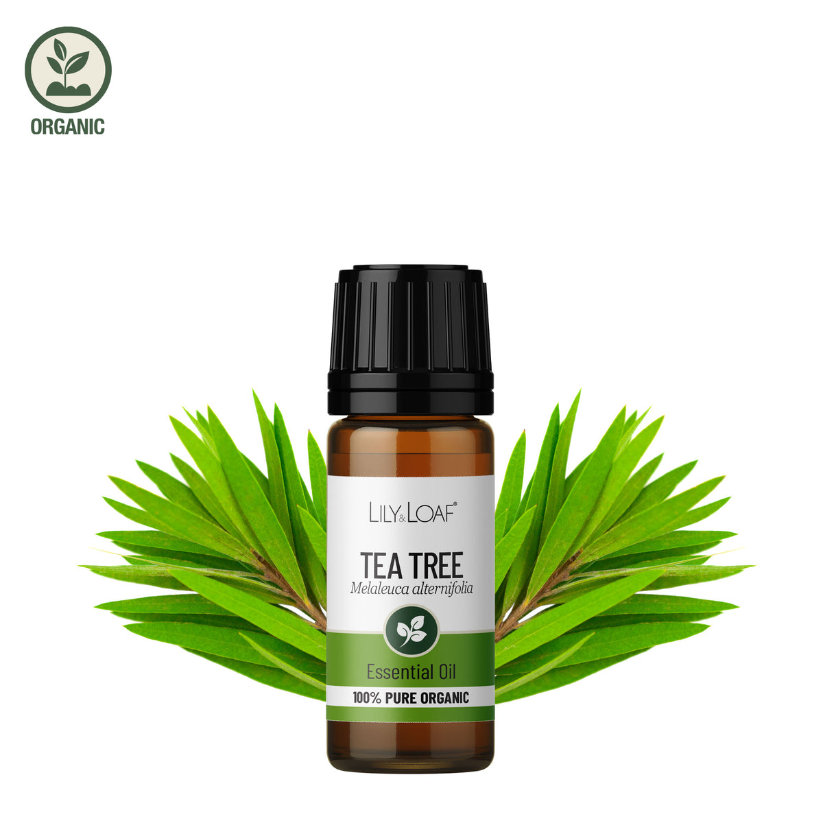 Tea Tree Organic Essential Oil