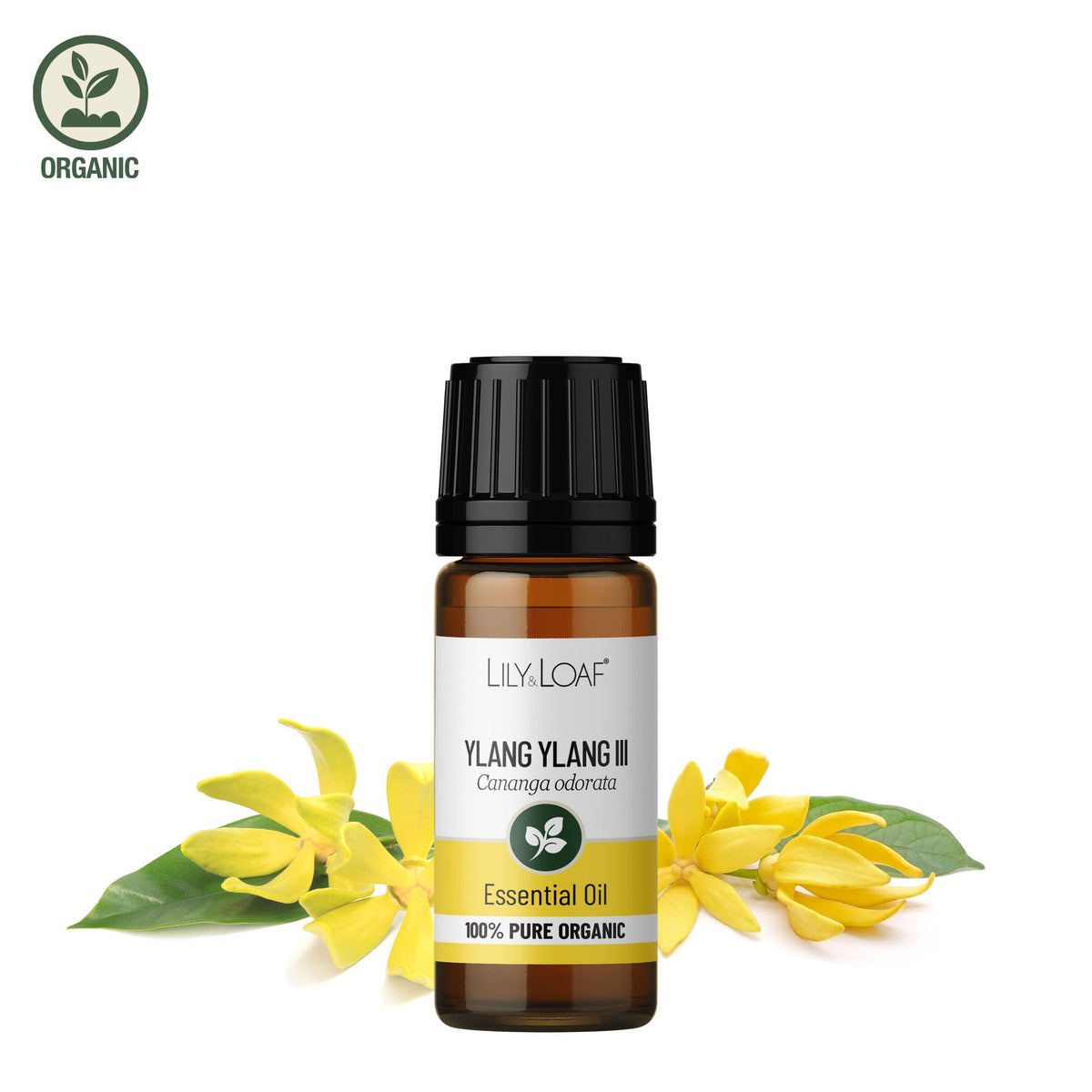 Ylang Ylang III Organic Essential Oil